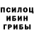 Псилоцибиновые грибы Magic Shrooms kazak andrey