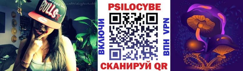 купить   Эртиль  KRAKEN tor  Галлюциногенные грибы прущие грибы 