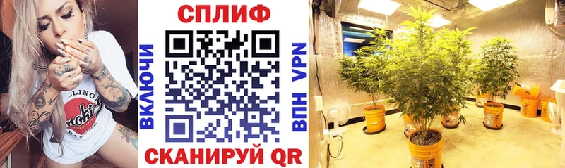 хочу   Эртиль  МАРИХУАНА THC 21% 